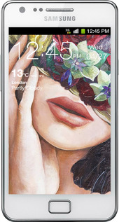 Силиконовый чехол Head Flower для Samsung Galaxy S2 i9100 - 4460u-14 изображение 