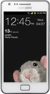 Силиконовый чехол The Peeking Rat для Samsung Galaxy S2 i9100 - 6442u-14 изображение 