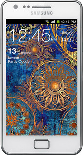 Силиконовый чехол Золотой узор для Samsung Galaxy S2 i9100 - 678u-14 изображение 