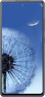 2D пластиковый чехол Одуванчик для Samsung Galaxy S20 FE G780F - 6005t-2075 изображение 