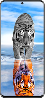 2D пластиковый чехол Тигр для Samsung Galaxy S20 Plus - 6016t-1822 изображение 