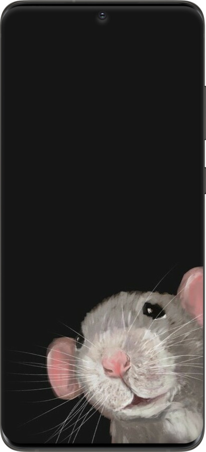 TPU чехол The Peeking Rat для Samsung Galaxy S20 Ultra - 6442b-1831 изображение 