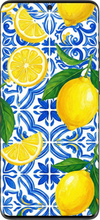 2D пластиковый чехол Grocery Girl Italian Summer для Samsung Galaxy S20 Ultra - 6766t-1831 изображение 