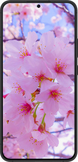 Силиконовый чехол Сакура для Samsung Galaxy S22 Plus - 6029u-2495 изображение 