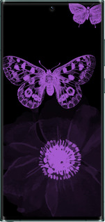 TPU чехол Нежность для Samsung Galaxy S22 Ultra - 5906b-2500 изображение 