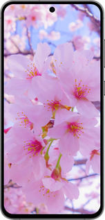 TPU чехол Сакура для Samsung Galaxy S24 FE - 6029b-3772 изображение 