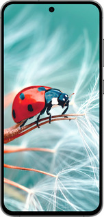 TPU чехол Божья коровка для Samsung Galaxy S24 FE - 6049b-3772 изображение 