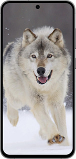 TPU чехол Бегущий волк для Samsung Galaxy S24 FE - 826b-3772 изображение 