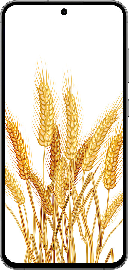 TPU чехол Колоски пшеници для Samsung Galaxy S24 FE - 5866b-3772 изображение 