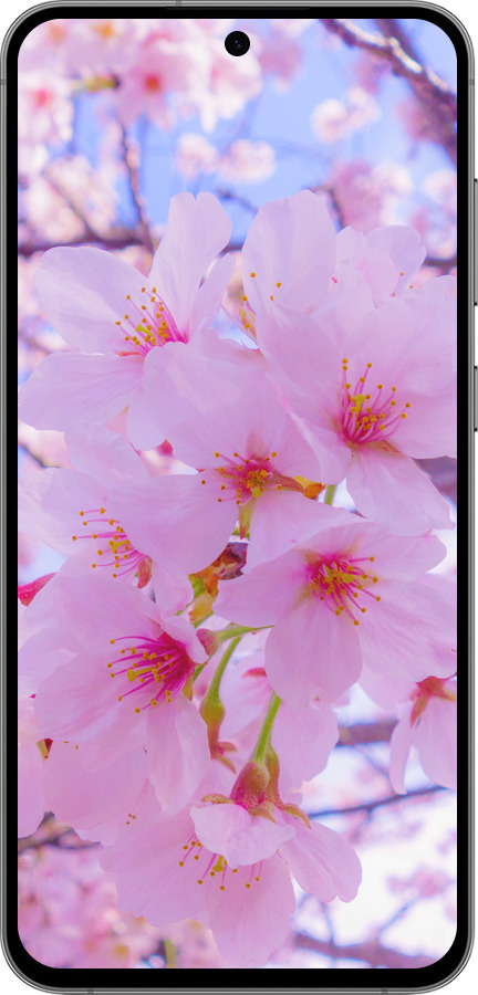 TPU чехол Сакура для Samsung Galaxy S24 FE - 6029b-3772 изображение 