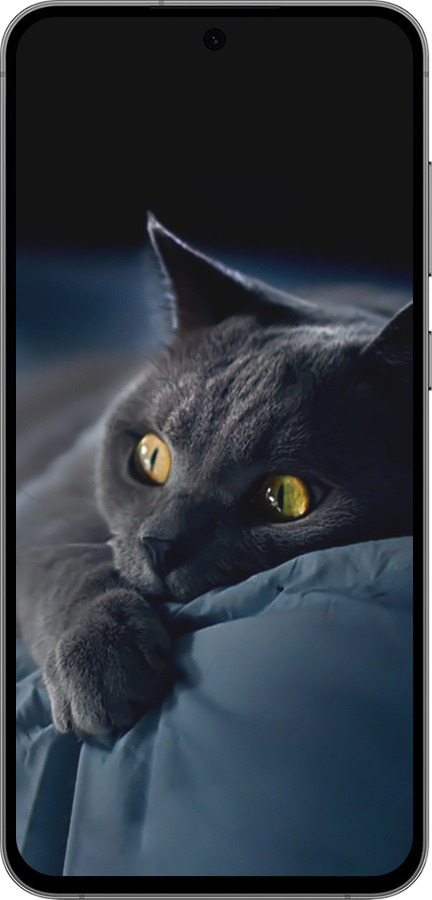 TPU чехол Дымчатый кот для Samsung Galaxy S24 FE - 825b-3772 изображение 