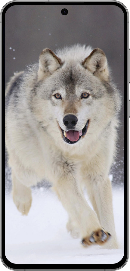 TPU чехол Бегущий волк для Samsung Galaxy S24 FE - 826b-3772 изображение 
