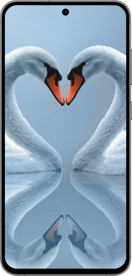 Силиконовый чехол Лебеди для Samsung Galaxy S24 FE - 6007u-3772 изображение 