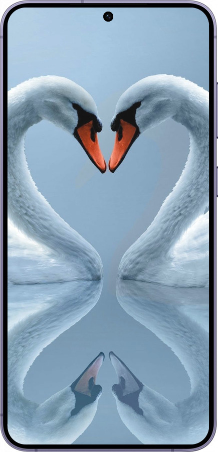 Силиконовый чехол Лебеди для Samsung Galaxy S24 Plus - 6007u-3388 изображение 