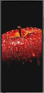 Силиконовый чехол Яблоко для Samsung Galaxy S24 Ultra - 6022u-3389 изображение 