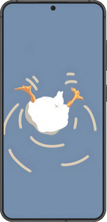 Силиконовый чехол Гусь ныряет для Samsung Galaxy S24 - 6275u-3390 изображение 
