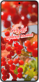 Силиконовый чехол Калина для Samsung Galaxy S25 Edge - 5454u-3923 изображение 