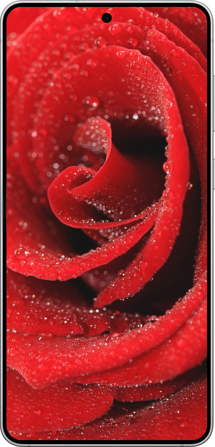 Силіконовий чехол Червона троянда для Samsung Galaxy S25 Edge - 529u-3923 изображение 