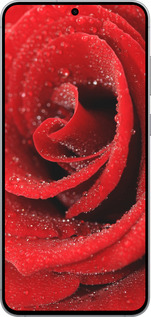 Силиконовый чехол Красная роза для Samsung Galaxy S25 FE - 529u-4094 изображение 