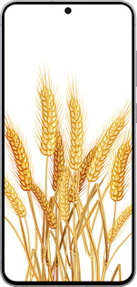 Силиконовый чехол Колоски пшеници для Samsung Galaxy S25 FE - 5866u-4094 изображение 