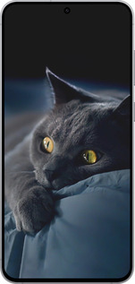 Силиконовый чехол Дымчатый кот для Samsung Galaxy S25 FE - 825u-4094 изображение 