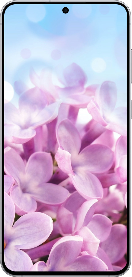 Силиконовый чехол Сирень для Samsung Galaxy S25 FE - 527u-4094 изображение 