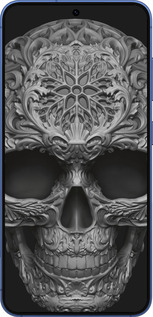 Силиконовый чехол skull-ornament для Samsung Galaxy S25 Plus - 4101u-3826 изображение 