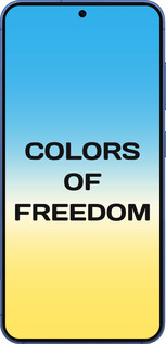 Силиконовый чехол Colors of Freedom для Samsung Galaxy S25 Plus - 5453u-3826 изображение 