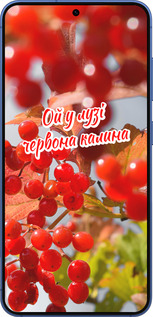 Силіконовий чехол Калина для Samsung Galaxy S25 Plus - 5454u-3826 изображение 
