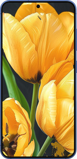 Силиконовый чехол Желтые тюльпаны для Samsung Galaxy S25 Plus - 5991u-3826 изображение 