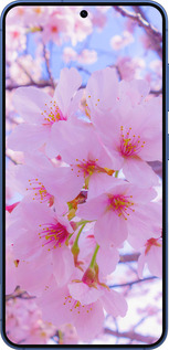 Силиконовый чехол Сакура для Samsung Galaxy S25 Plus - 6029u-3826 изображение 