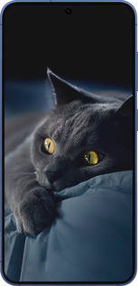 Силіконовий чехол Димчастий кіт для Samsung Galaxy S25 Plus - 825u-3826 изображение 