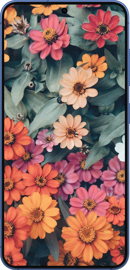 Силиконовый чехол Beauty flowers для Samsung Galaxy S25 Plus - 4050u-3826 изображение 
