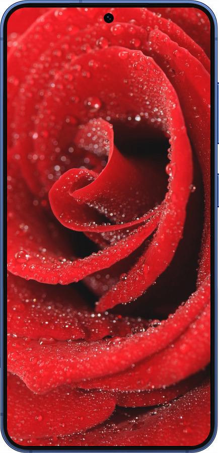 Силіконовий чехол Червона троянда для Samsung Galaxy S25 Plus - 529u-3826 изображение 
