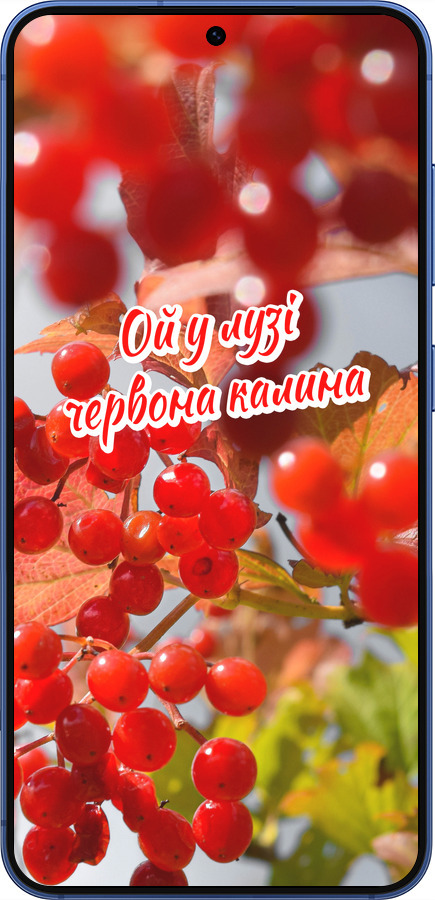 Силіконовий чехол Калина для Samsung Galaxy S25 Plus - 5454u-3826 изображение 