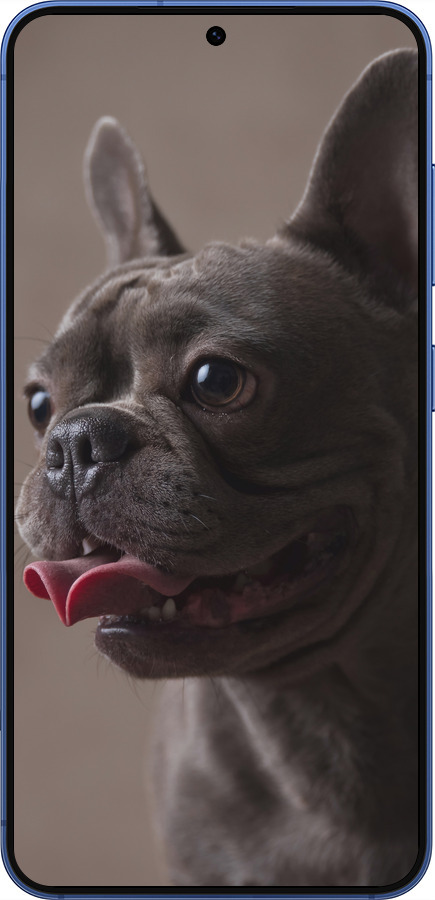 Силиконовый чехол Милый бульдог для Samsung Galaxy S25 Plus - 5546u-3826 изображение 