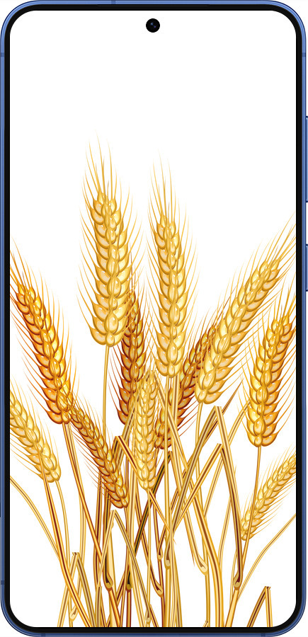 Силіконовий чехол Колоски пшениці для Samsung Galaxy S25 Plus - 5866u-3826 изображение 