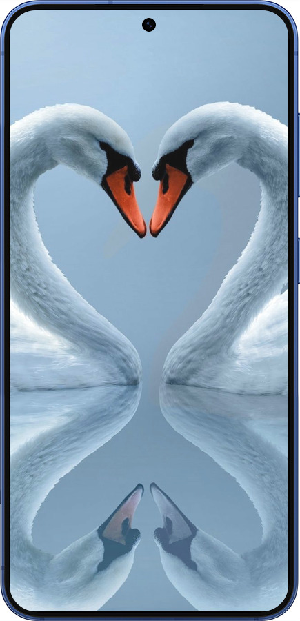 Силиконовый чехол Лебеди для Samsung Galaxy S25 Plus - 6007u-3826 изображение 