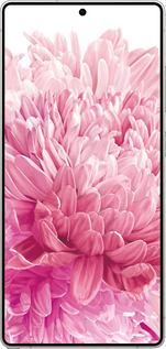 Силиконовый чехол Хризантема для Samsung Galaxy S25 Ultra - 4666u-3805 изображение 