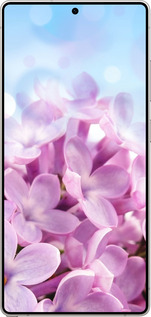 Силиконовый чехол Сирень для Samsung Galaxy S25 Ultra - 527u-3805 изображение 
