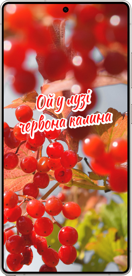 Силиконовый чехол Калина для Samsung Galaxy S25 Ultra - 5454u-3805 изображение 