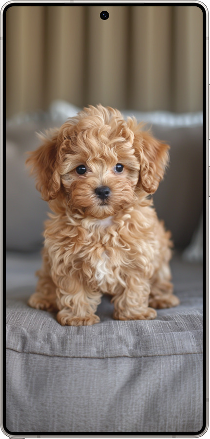 Силиконовый чехол Mini-maltipoo для Samsung Galaxy S25 Ultra - 6158u-3805 изображение 