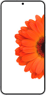 Силіконовий чехол Гербера 1 для Samsung Galaxy S25 - 4534u-3804 изображение 