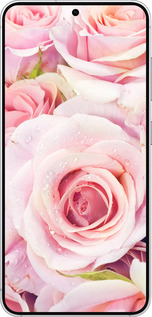 Силиконовый чехол Розы для Samsung Galaxy S25 - 525u-3804 изображение 