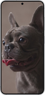 Силиконовый чехол Милый бульдог для Samsung Galaxy S25 - 5546u-3804 изображение 