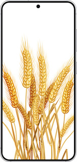 Силиконовый чехол Колоски пшеници для Samsung Galaxy S25 - 5866u-3804 изображение 