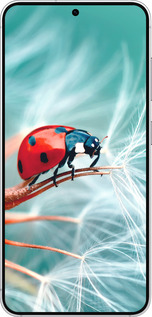 Силиконовый чехол Божья коровка для Samsung Galaxy S25 - 6049u-3804 изображение 