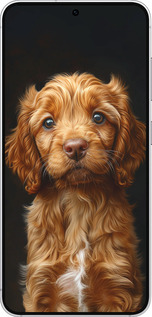 Силіконовий чехол Cocker spaniel на чорному фоні для Samsung Galaxy S25 - 6137u-3804 изображение 