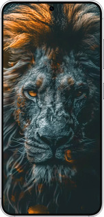 Силиконовый чехол Лев в сумерках для Samsung Galaxy S25 - 6154u-3804 изображение 