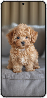 Силіконовий чехол Mini-maltipoo для Samsung Galaxy S25 - 6158u-3804 изображение 